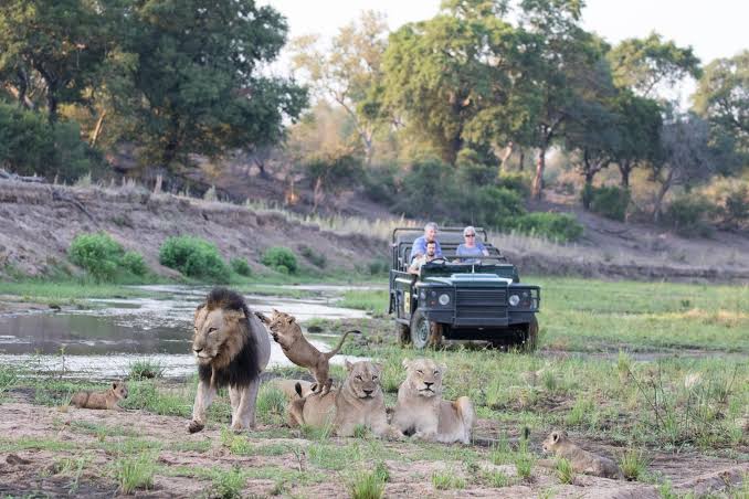 The Big Five Territory