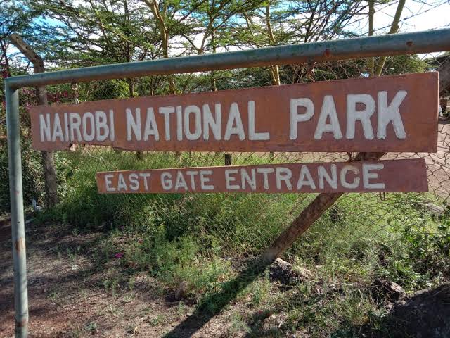 The Ivory Trail Route