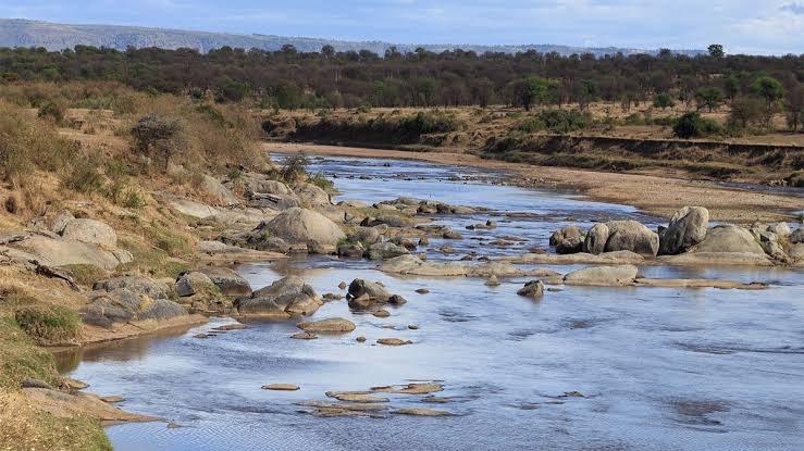 The Mara River