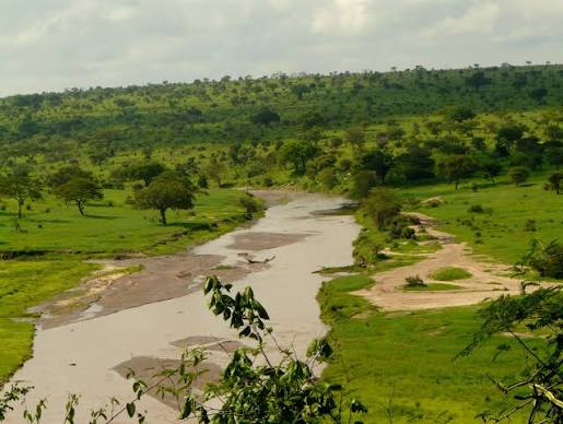 The Tarangire River