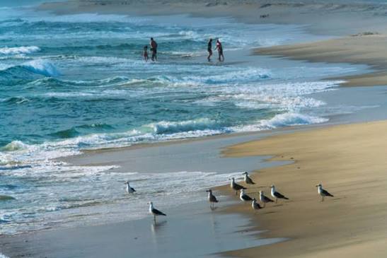 Torra Bay