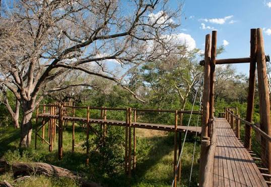 Treetop Bird Hide