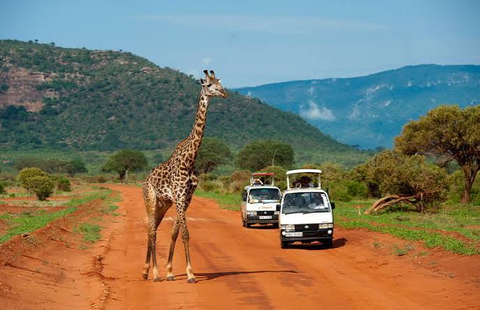 Tsavo East National Park