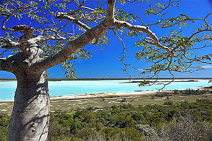 Tsimanampetsotsa Lake
