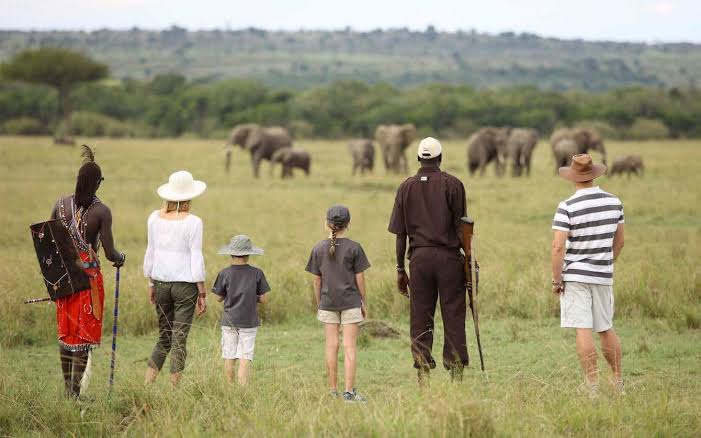 Walking Safari Routes