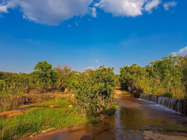 Waterberg Biosphere Reserve