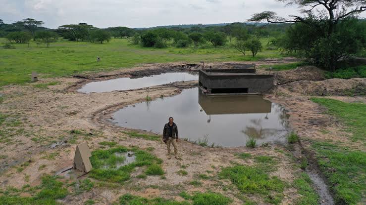 Waterhole Viewing Points