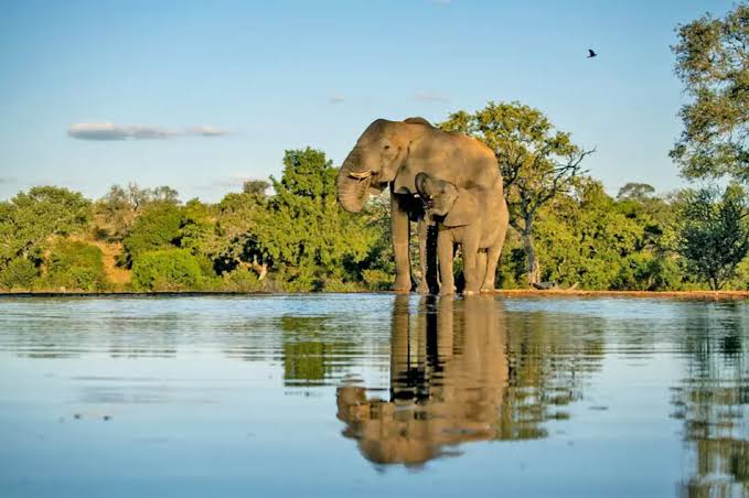 Waterholes and Dams