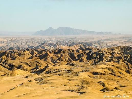 Welwitschia Plains