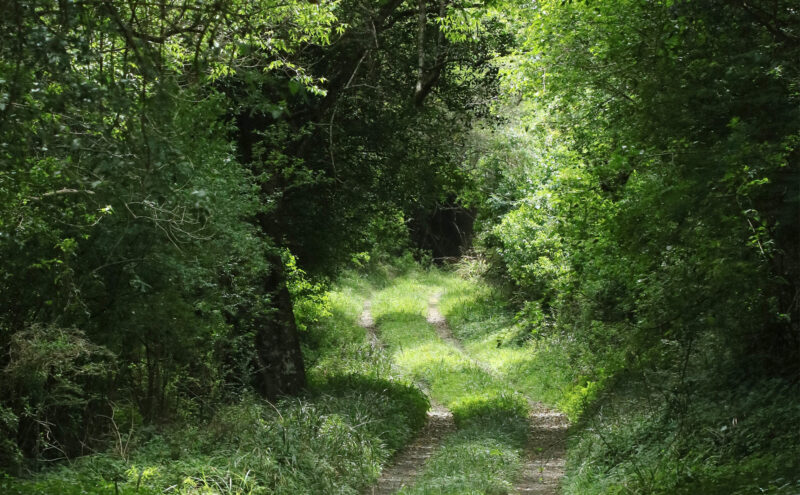 Woody Cape Nature Reserve