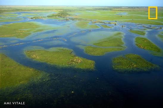 Zambezi Delta Wetlands
