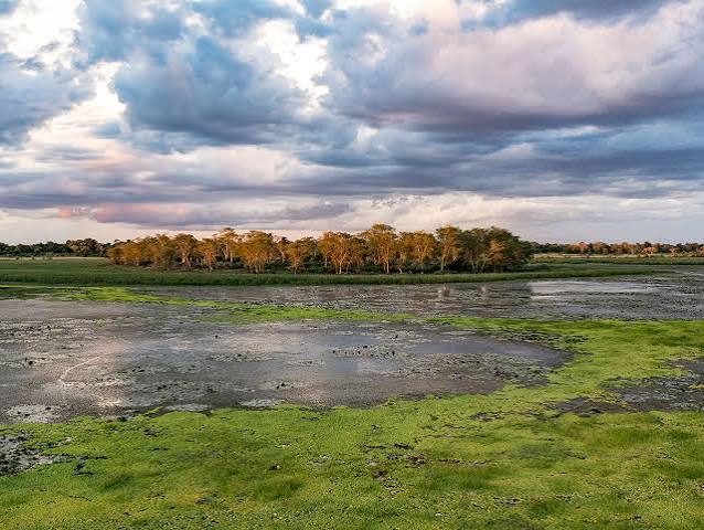 Zinave National Park