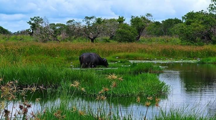 iSimangaliso Wetland Park