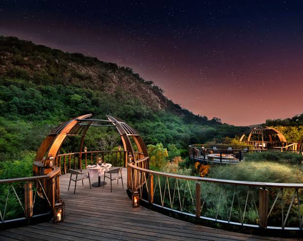 shamwari nightwalks