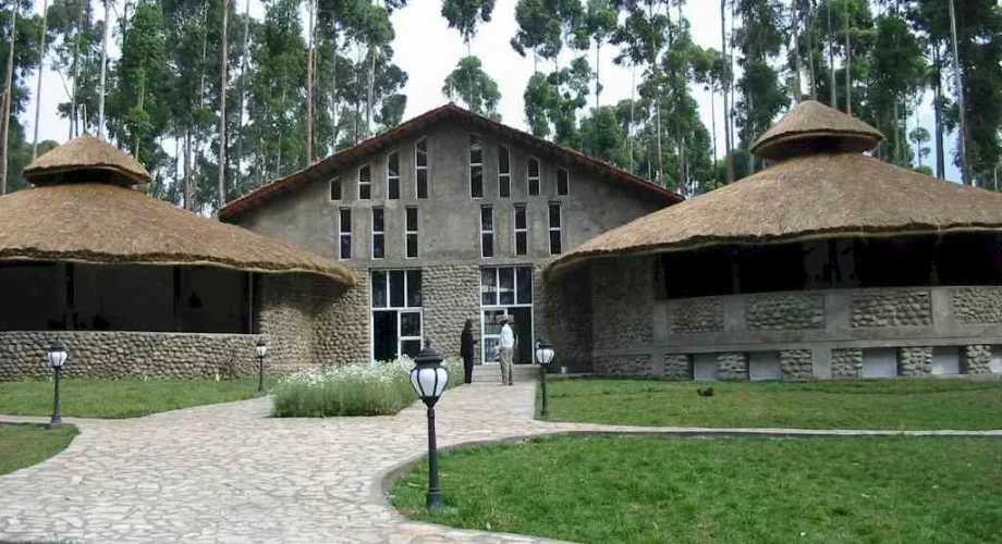 Gorilla Nest Lodge