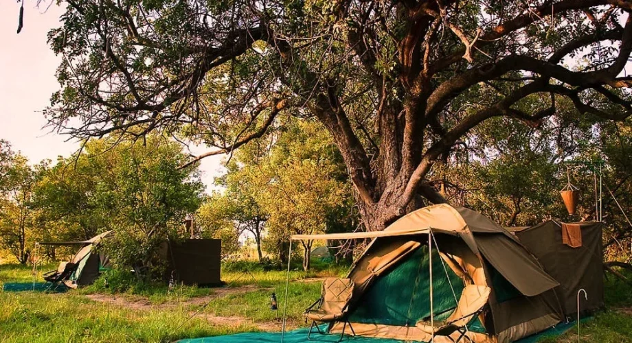 Khutse Game Reserve Travel Budget Camping Safaris