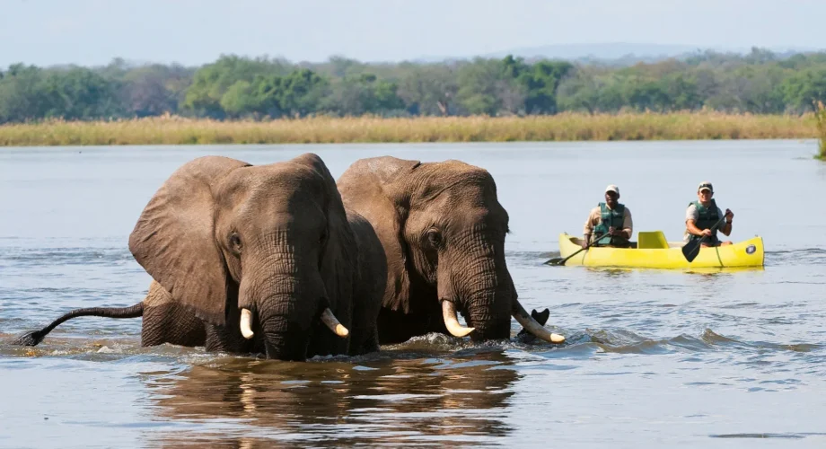 Lower-Zambezi-National-Park