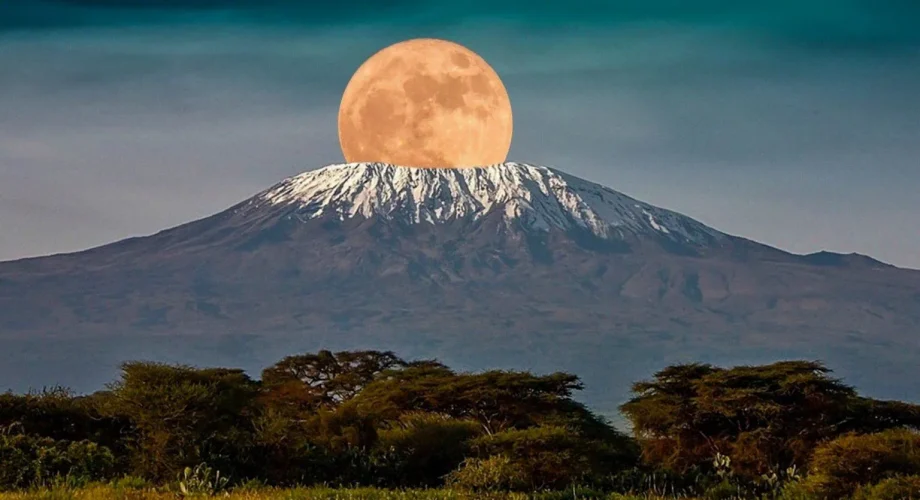 Mount Kilimanjaro's Majesty