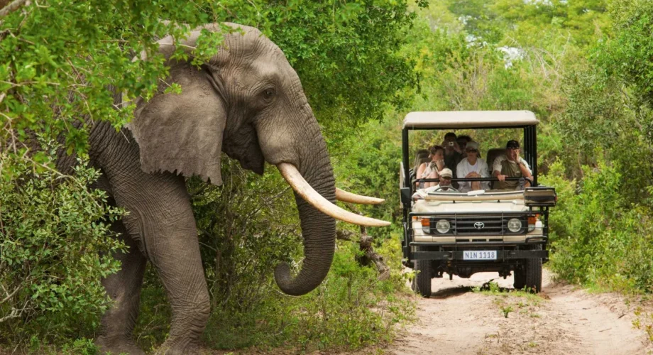 Private Game Reserve Safari