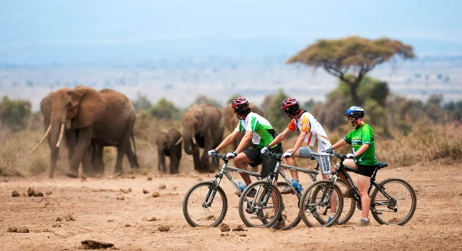 Rwanda Cycling Safaris