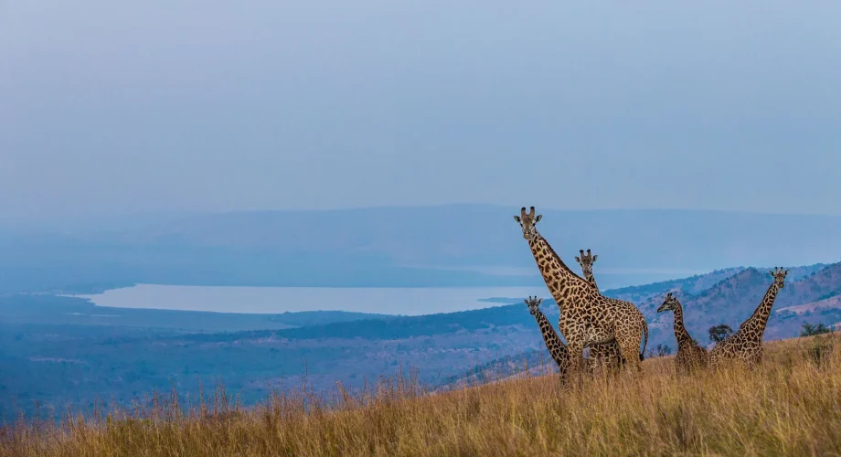 Rwanda Scenic Landscapes