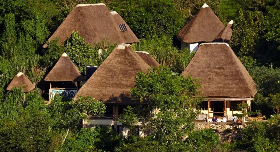Uganda Bwindi Lodge