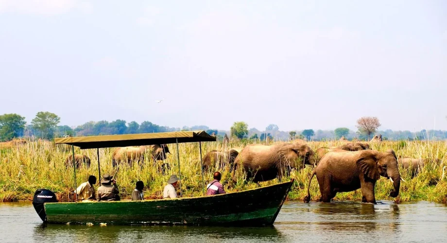 Vwaza Boat Safaris