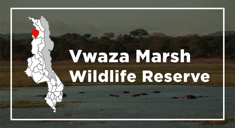 Vwaza Marsh Safaris Location