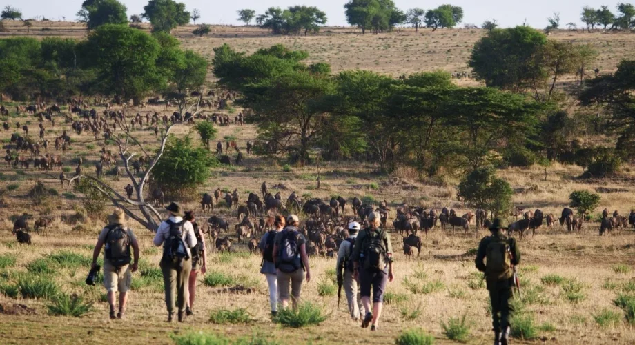 Wayo-Walking-Safari-Serengeti-Tanzania-1