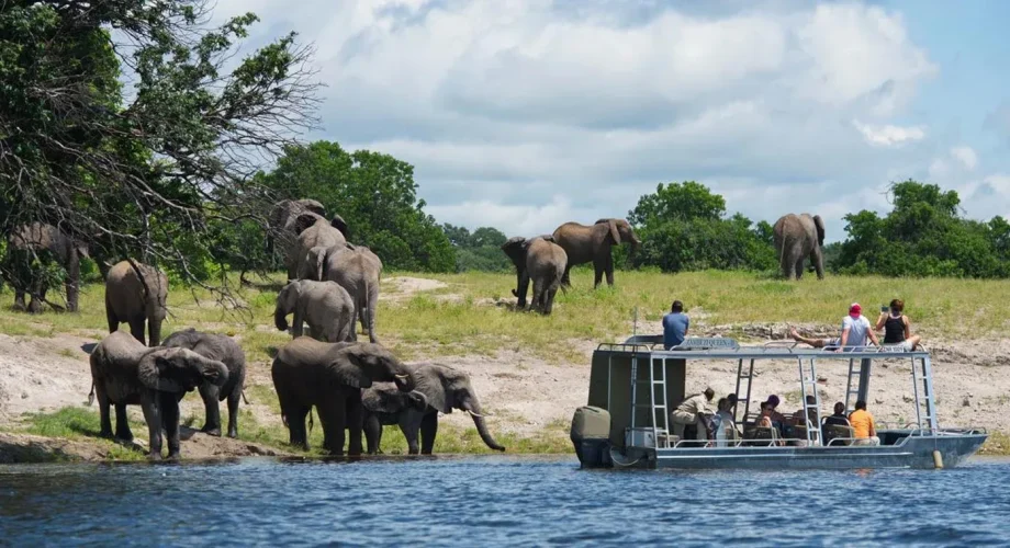 Zambezi Boat Safaris