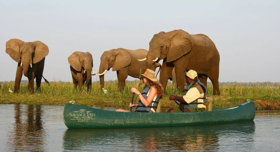 Zambia Zambezi Canoe Safaris