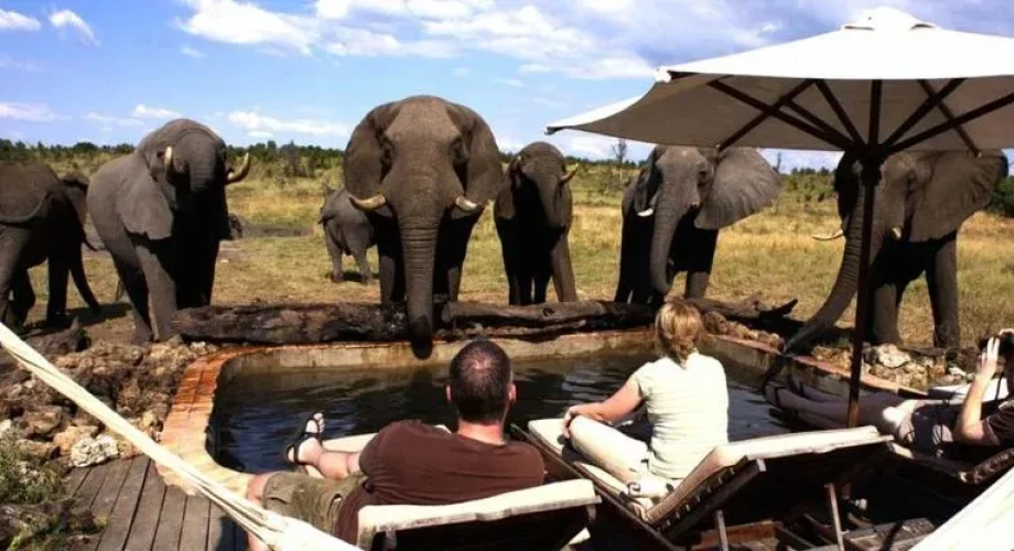 Zimbabwe Diverse Safari Experience