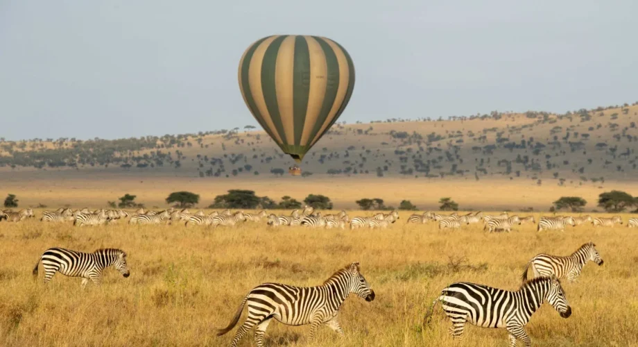 Zimbabwe baloon safaris over hwange