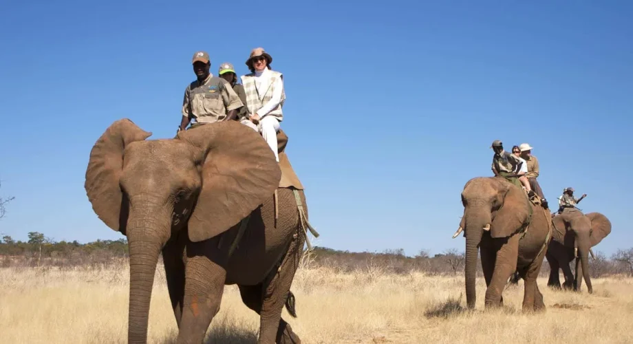 victoria falls Elephant Back Safaris