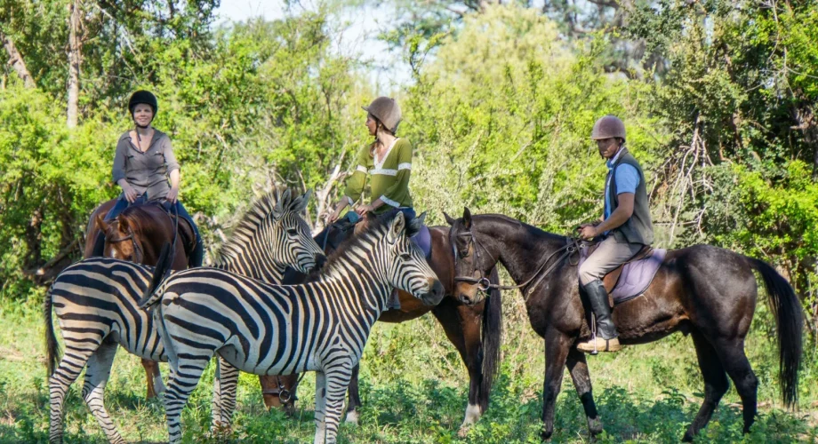 victoria falls Horseback Safaris